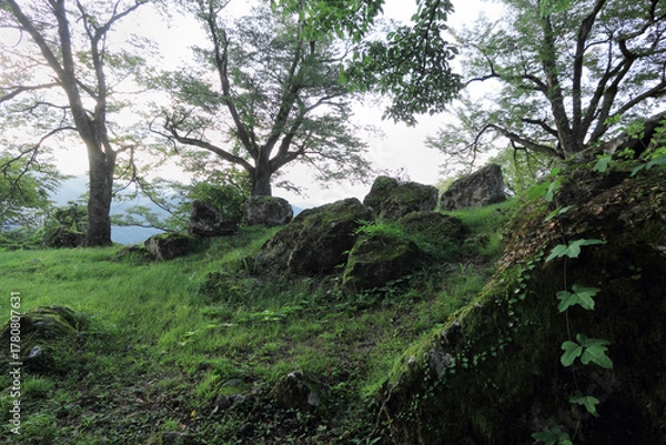 Obraz 日本の城跡　松倉城址