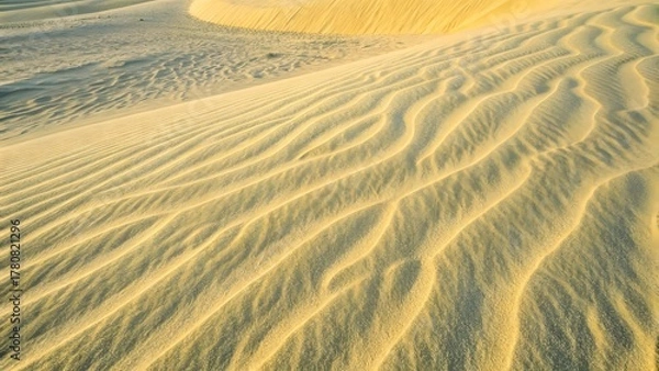 Obraz Golden sand dunes with ripples under warm sunlight