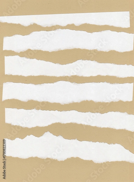 Obraz Zerrissenes Papier