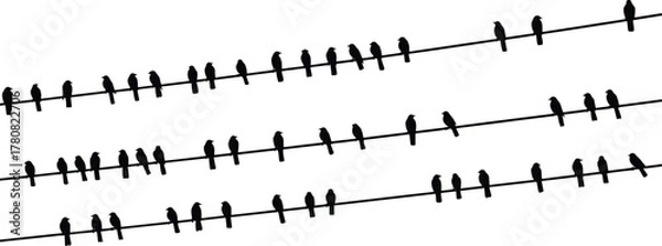 Fototapeta Bird, Silhouette, Vector, Animal, Black, White, Flying, Perched, Power, Line, Outline, Icon, Graphic, Design, Illustration