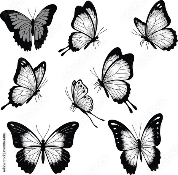 Fototapeta Butterfly, Silhouette, Vector, Insect, Wings, Drawing, Black, White, Nature, Pattern, Design, Art, Illustration, Graphic, Decorative