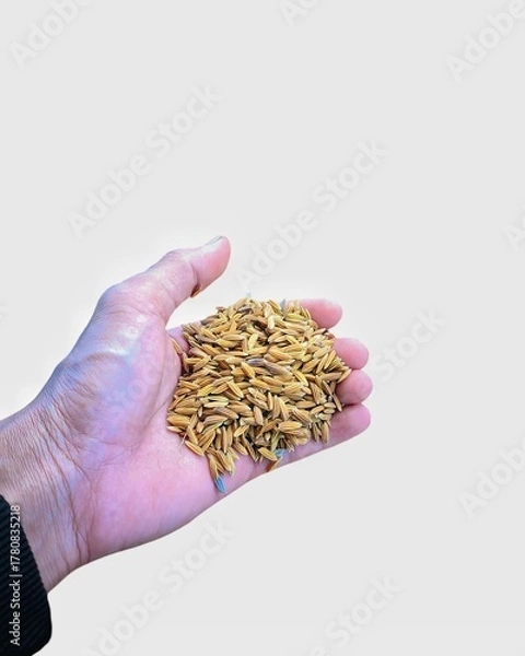 Obraz "Farmers' hands with the seeds of the future."