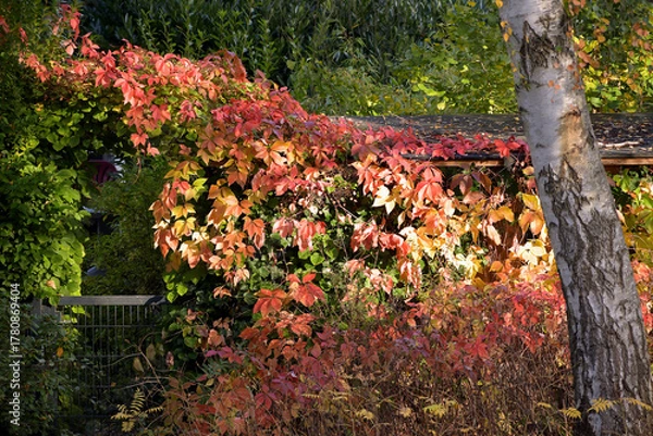 Fototapeta herbstzeit