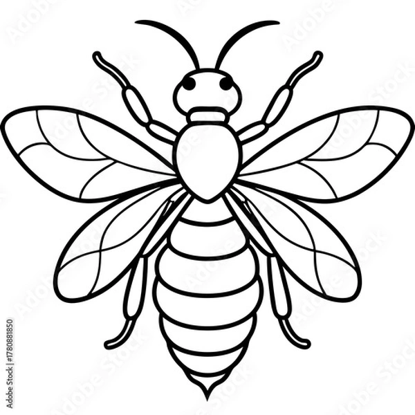 Fototapeta bee on white background