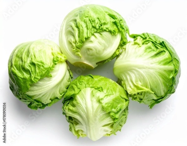 Fototapeta Top view of iceberg lettuces placed close together on a clean white background, showing fresh texture and crisp green color without shadows.