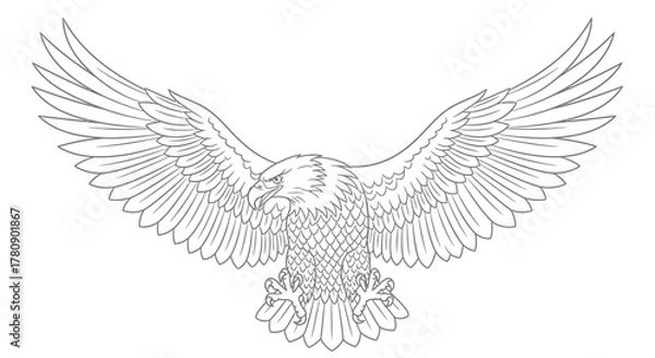 Obraz Majestic eagle soaring with intricately detailed wings against a white backdrop