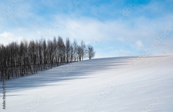 Fototapeta 雪で覆われた美瑛の丘 北海道美瑛町 日本