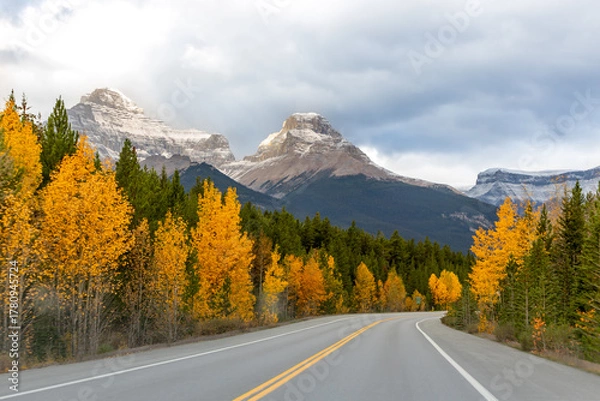 Fototapeta Scenic road toward snowy peaks on Icefields Parkway in Alberta