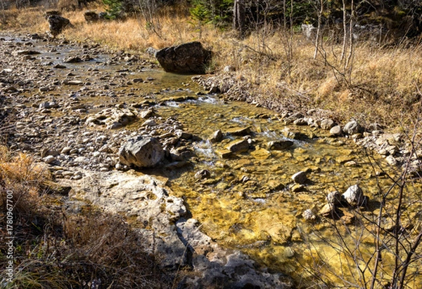 Obraz Autumn walks along the banks of a mountain river with clear, cool water in the morning hours with the rising sun