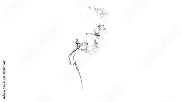 Fototapeta Thin Black Smoke Overlay for Photo Effects and Abstract Graphic Design