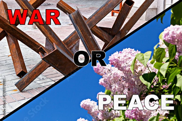 Fototapeta War or peace. Metal anti-tank hedgehogs on one side and vibrant lilac flowers against clear sky on other, symbolizing contrast between war and peace, death and life