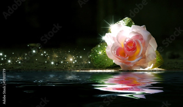 Obraz Sztuka wzrosła