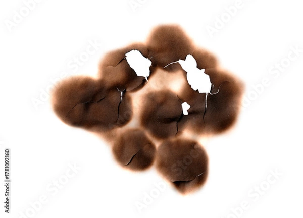 Fototapeta Multiple Burnt Holes and Cracks | Isolated Fire Damage Texture PNG for Grunge Overlay Effects
