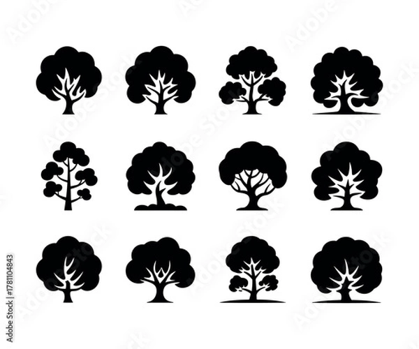 Obraz A detailed oak tree illustration in vector format