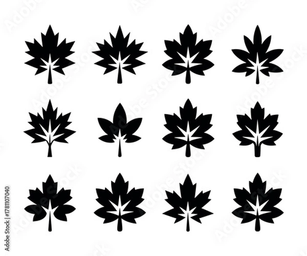 Obraz Detailed illustration of a sugar maple tree in autumn