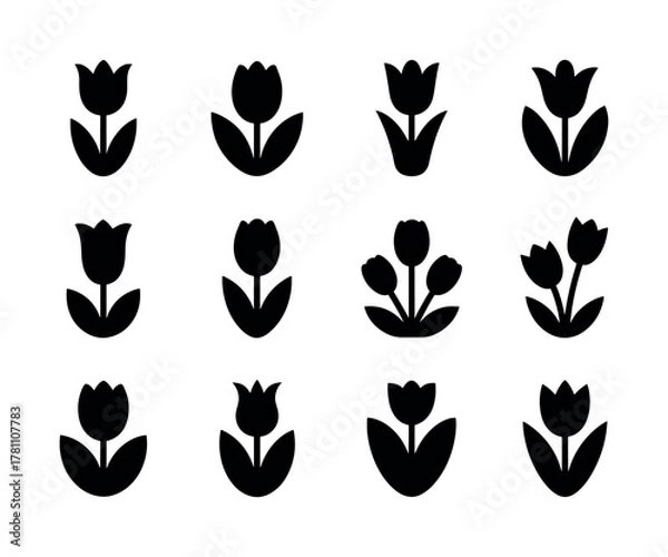 Obraz A vibrant vector illustration of a set tulip flower