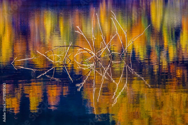 Fototapeta Abstract autumn