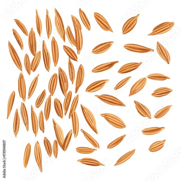 Fototapeta A Minimalistic 2D flat icon illustration of brown rice grains set, simple illustration style, clean vector design, isolated on a white background, modern element in vector, EPS format