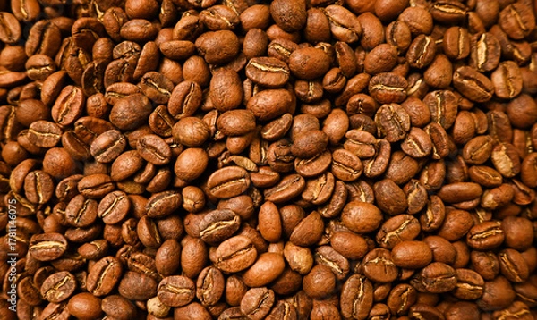 Fototapeta Roasted Coffee beans texture. Espresso ingredient. Food and drinks background