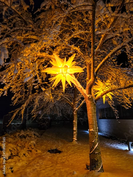 Obraz Christmas decorations, lanterns in the shape of Bethlehem's stars hanging on trees covered with snow.
