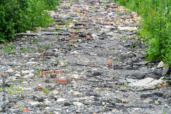 Obraz Cracked and overgrown pathway in a natural setting with wild plants and urban debris