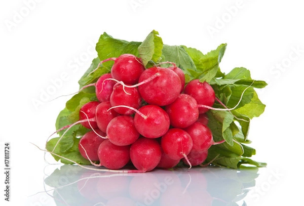 Fototapeta Radieschen