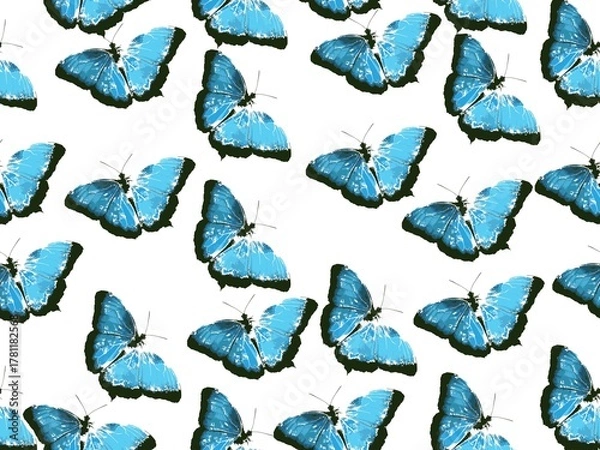 Obraz seamless pattern with butterflies