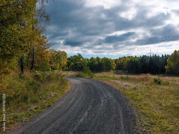 Obraz Country dirt road with trees under cloudy sky