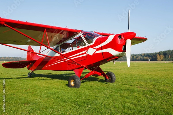 Obraz Small airplane on airfield grass