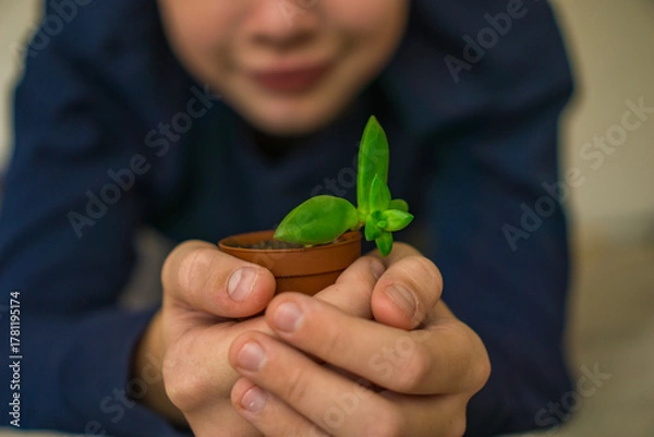 Fototapeta A child gently holds a tiny potted sprout, symbolizing care, growth, and nurturing a new beginning for life and nature.