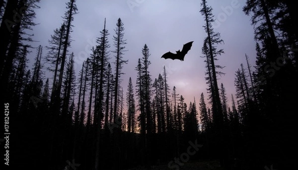 Fototapeta Bat Silhouette Flying Over Forest at Twilight
