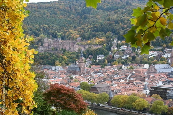 Fototapeta Blick auf die Heidelberger Atstadt eingerahmt von goldenem Herbstlaub