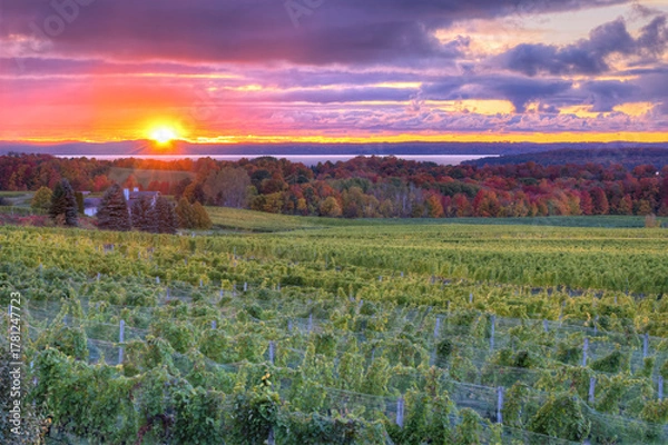 Obraz sunset over the field