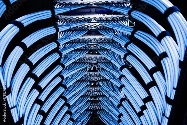 Fototapeta Network Cables in Server Room Layout