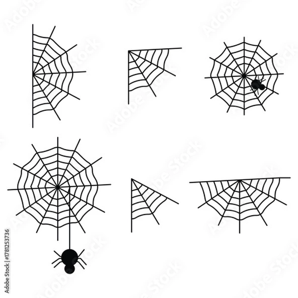 Fototapeta Spider Halloween witch decoration web icon. Spider web vector. doodle sketch for holiday spooky scary party.