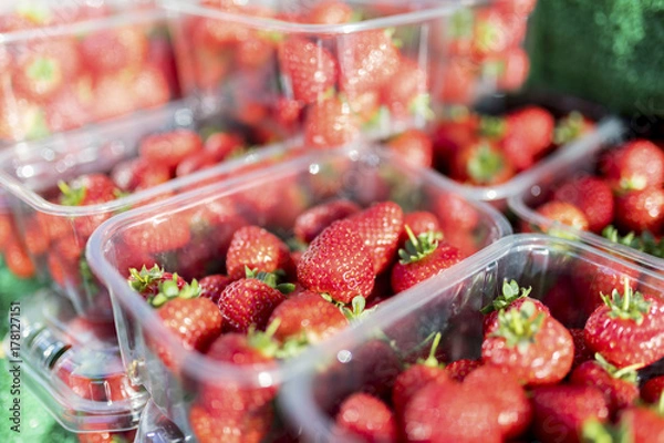 Obraz Close up of fresh and ripe English summer strawberries in punnets on a market stall in the Yorksire in the United Kingom