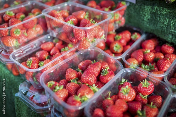 Obraz Close up of fresh and ripe English summer strawberries in punnets on a market stall in the Yorksire in the United Kingom