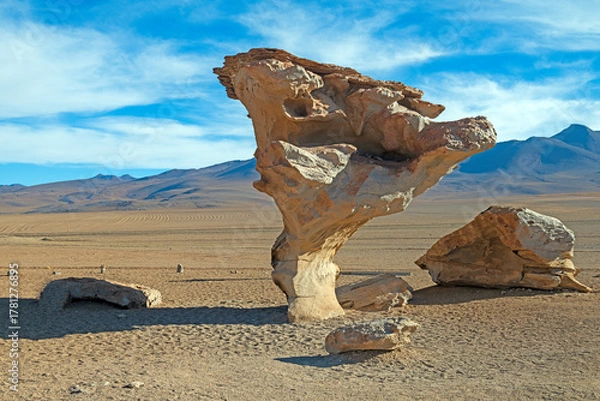 Fototapeta Dramaric Eroded Stone Tree Ventifact