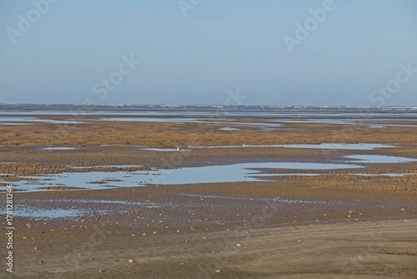 Obraz landscape in the Donana National Park in Andalusia