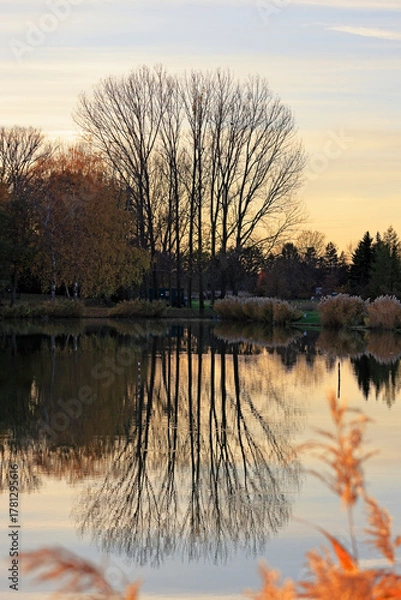 Obraz Abend am Teich