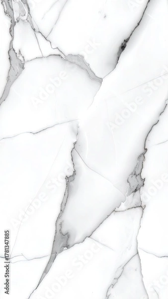 Obraz Elegant white surface with striking grey veins, creating a luxurious marble effect