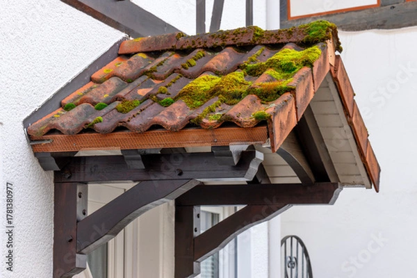 Obraz Moss-covered Tiled Awning