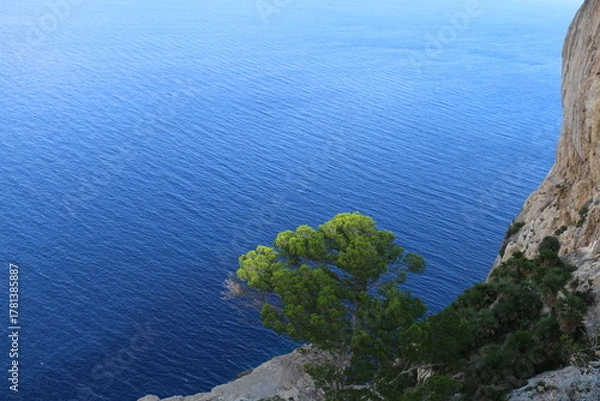 Obraz sea and mountains