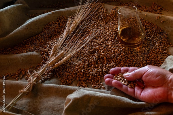 Fototapeta A hand rests on raw barley grain and wheat ears next to a glass of whiskey on burlap. Rustic still life emphasizing ingredients, harvest, and the natural heritage of distilled spirits