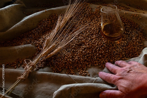 Fototapeta A hand rests among raw barley grain and wheat ears, next to a glass of whiskey on burlap. A rustic, conceptual still life emphasizing heritage and natural ingredients