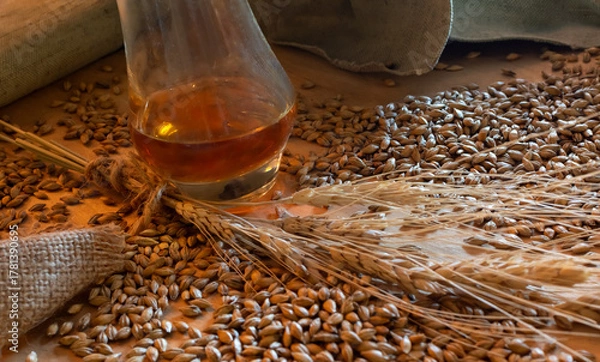 Fototapeta Nosing glass with amber whiskey surrounded by raw barley grain, wheat ears and burlap on wooden table. Conceptual still life emphasizing the natural ingredients and the heritage of distilled spirits