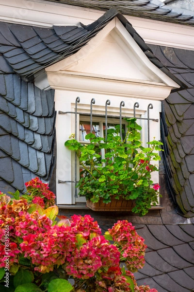Fototapeta Dormer Window with Flower Box and Hydrangeas