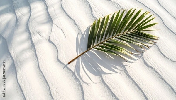 Obraz Tropical Green Palm Leaf Shadowed on Rippled Sunlit White Beach Sand with Shallow Depth of Field
