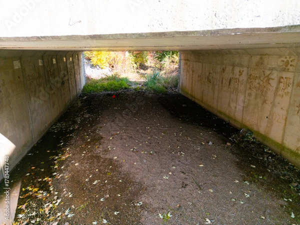 Fototapeta A small dried up creek and bridge during fall. 