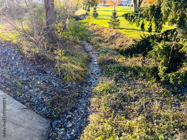 Fototapeta A small dried up creek and bridge during fall. 